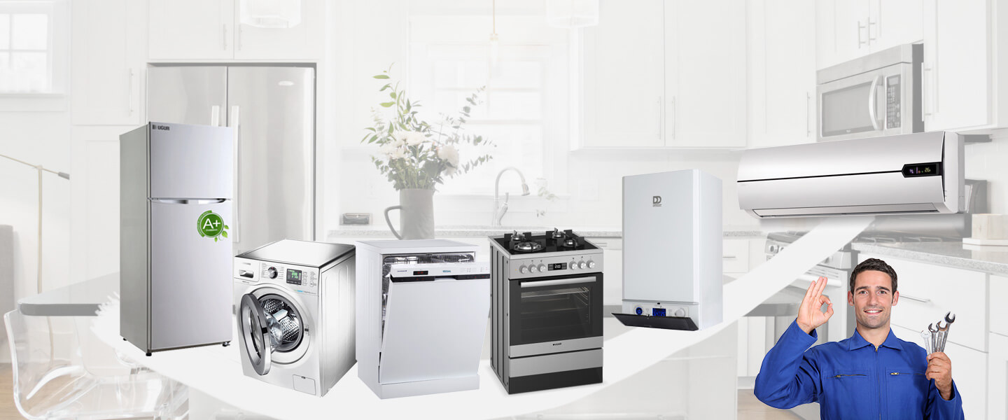 Bayramiç Gorenje Servisi